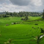Kanwil BPN Aceh Peringati HANTARU 2026 dan 66 Tahun UUPA