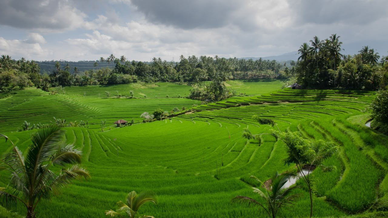 Lampaui-Target-LP2B-Capai-87-63-di-Momen-Peringa