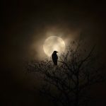 Ilustrasi langit malam Halloween dengan planet Saturnus dan bintang jatuh