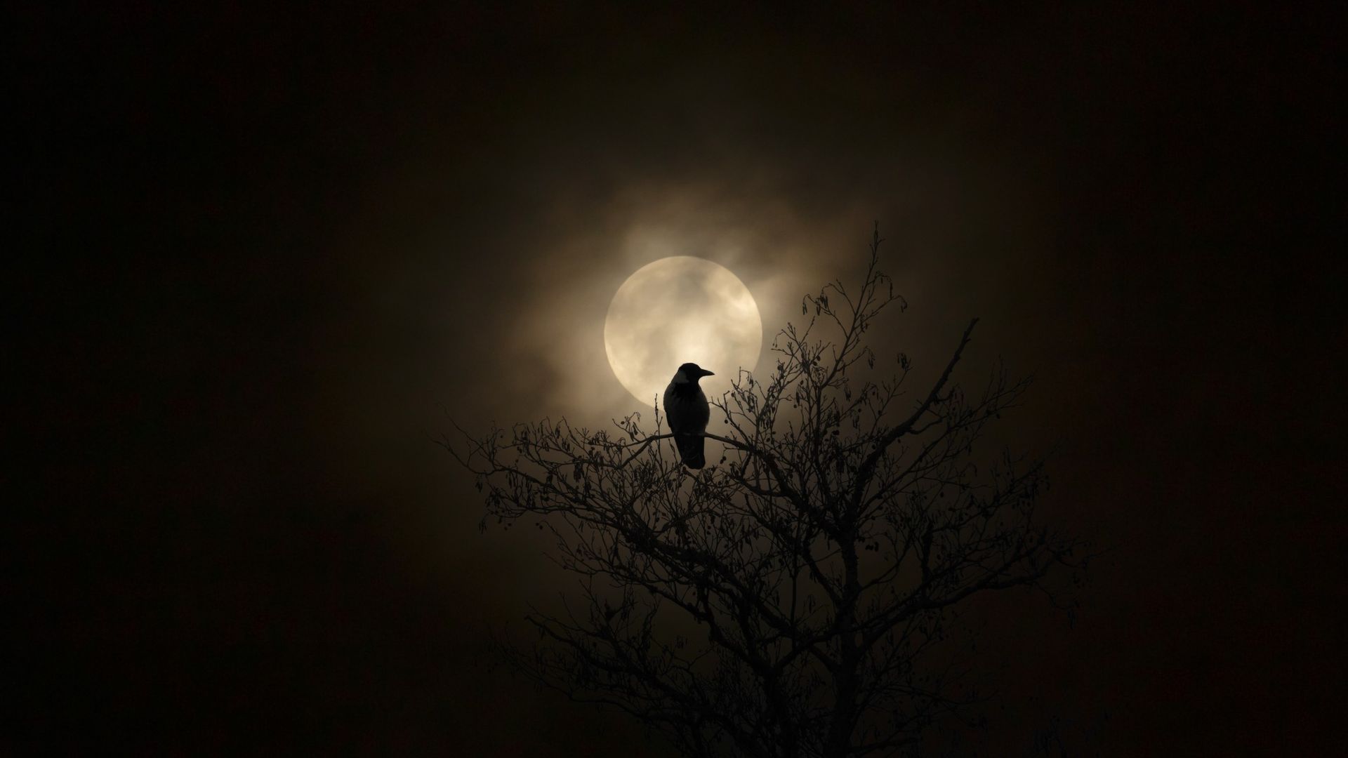Ilustrasi langit malam Halloween dengan planet Saturnus dan bintang jatuh