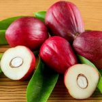 Tanaman herbal berbunga merah sebagai ilustrasi
