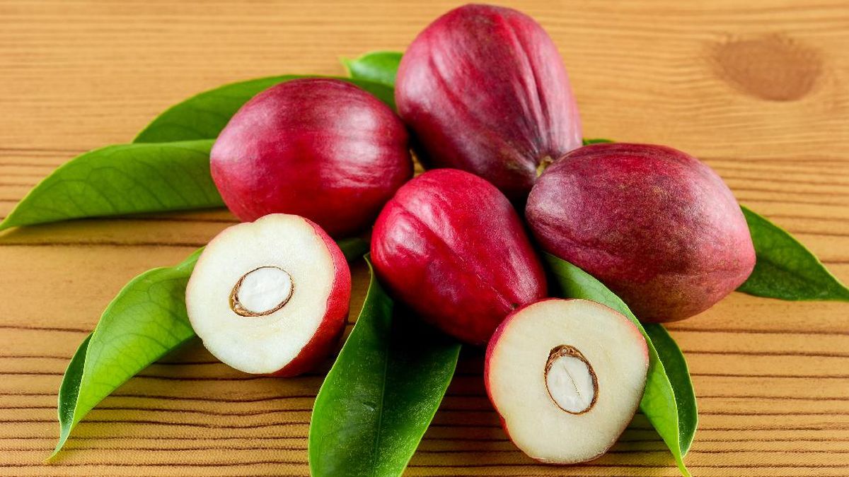 Tanaman herbal berbunga merah sebagai ilustrasi