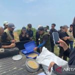 Petugas menguji kualitas sampel gabah dengan teknologi digital di lapangan Kendal