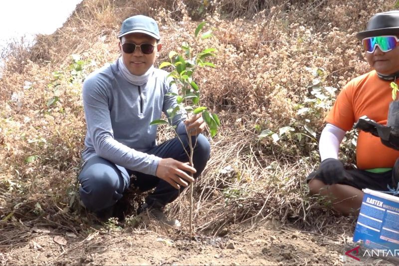 Kepala Sekretariat SDGs Bappenas menanam pohon di Taman Nasional Gunung Rinjani