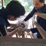 Tim Unair memeriksa sapi peternak melalui Posyandu Ternak Keliling di Prafi