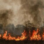 KPK Buka Penyidikan Gratifikasi di Pemkot Bengkulu, Anggota DPRD Diperiksa sebagai Saksi