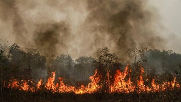 Ilustrasi asap kebakaran hutan dan lahan di wilayah Kalimantan