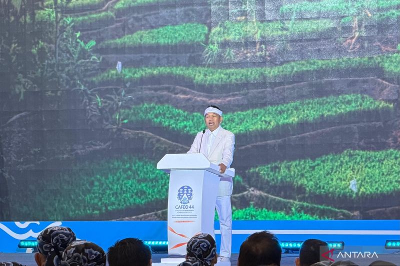 Warga mengikuti pemilihan kepala desa secara digital