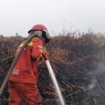 Ilustrasi kebakaran hutan dan lahan dengan asap mengepul