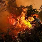 Seorang pria memadamkan kebakaran lahan gambut berasap di Palangka Raya, Kalimantan Tengah