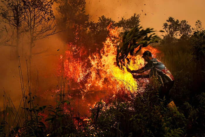 Seorang pria memadamkan kebakaran lahan gambut berasap di Palangka Raya, Kalimantan Tengah