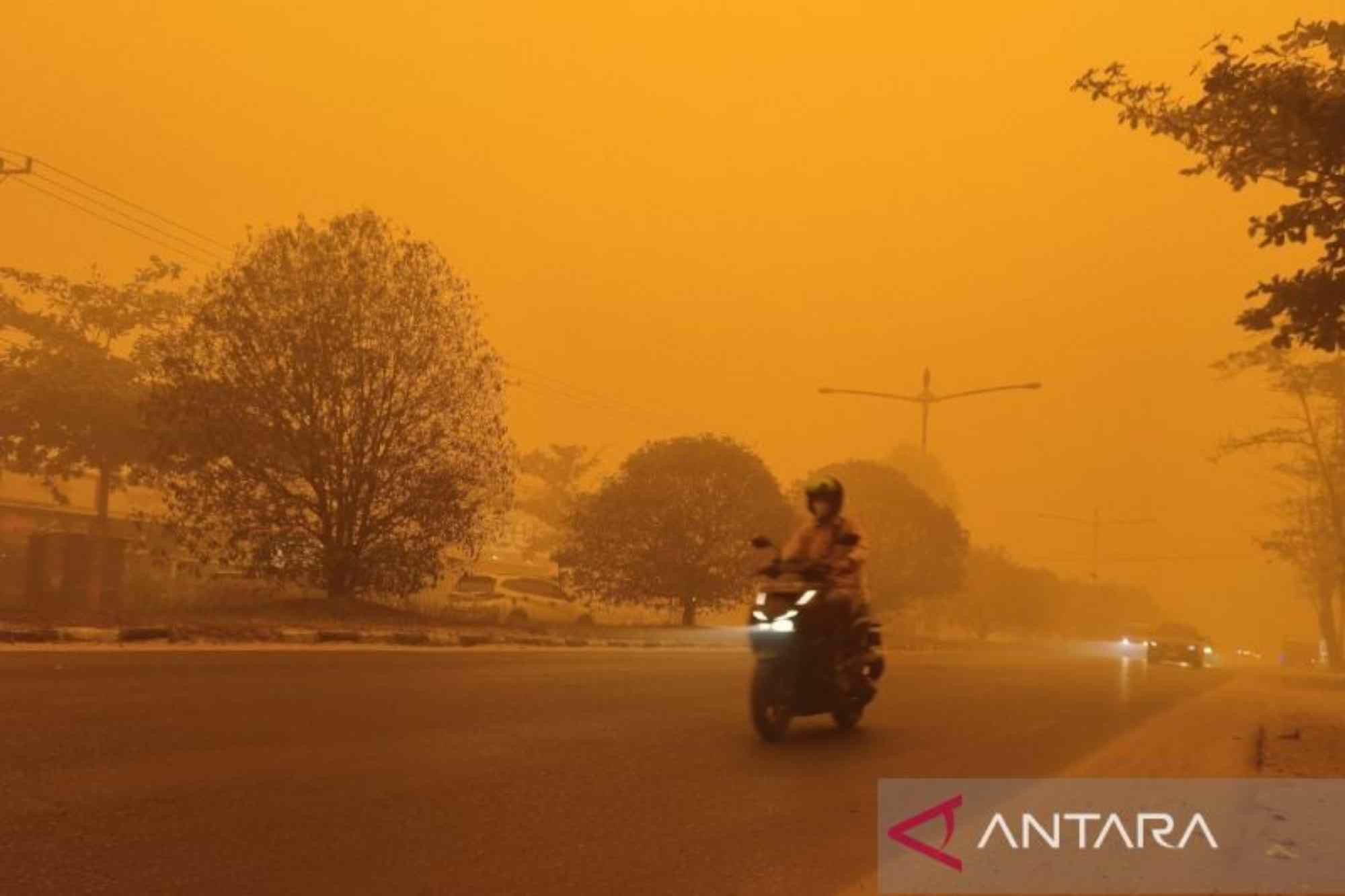Karhutla Hampir 4 Bulan, DPR Desak Pemerintah Tetapkan Bencana Nasional