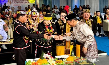 Anggota DPR Rahmawati Dorong Sinergi Pemprov Kaltara Perkuat Pertumbuhan Ekonomi di HUT ke-14