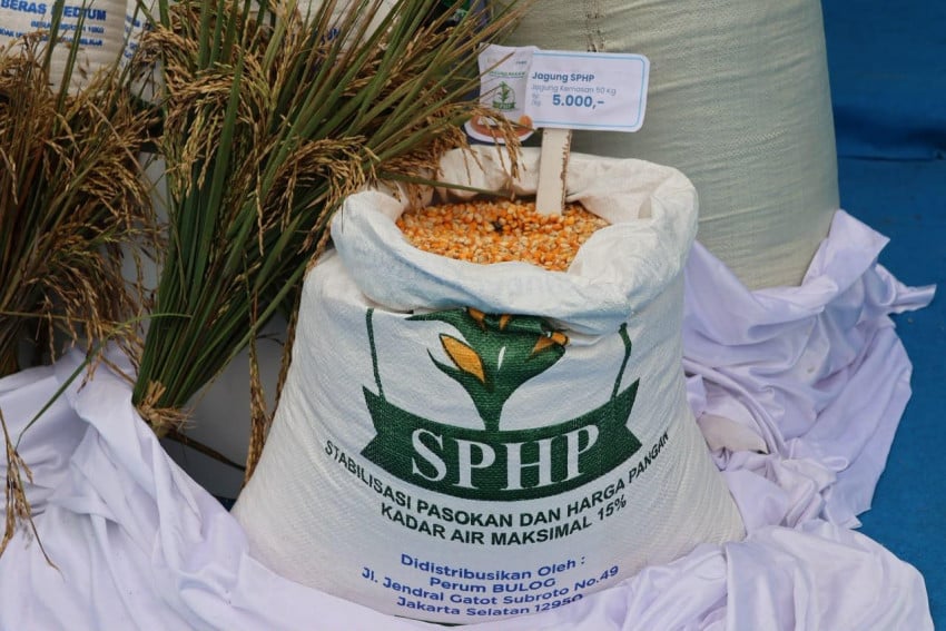 BULOG Siap Jaga Ekosistem Jagung, Petani dan Peternak Terlindungi