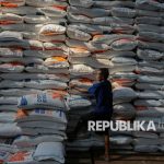 Delapan Hiu Paus Mati dalam Enam Bulan di Selatan Jawa, Peneliti Telusuri Penyebabnya