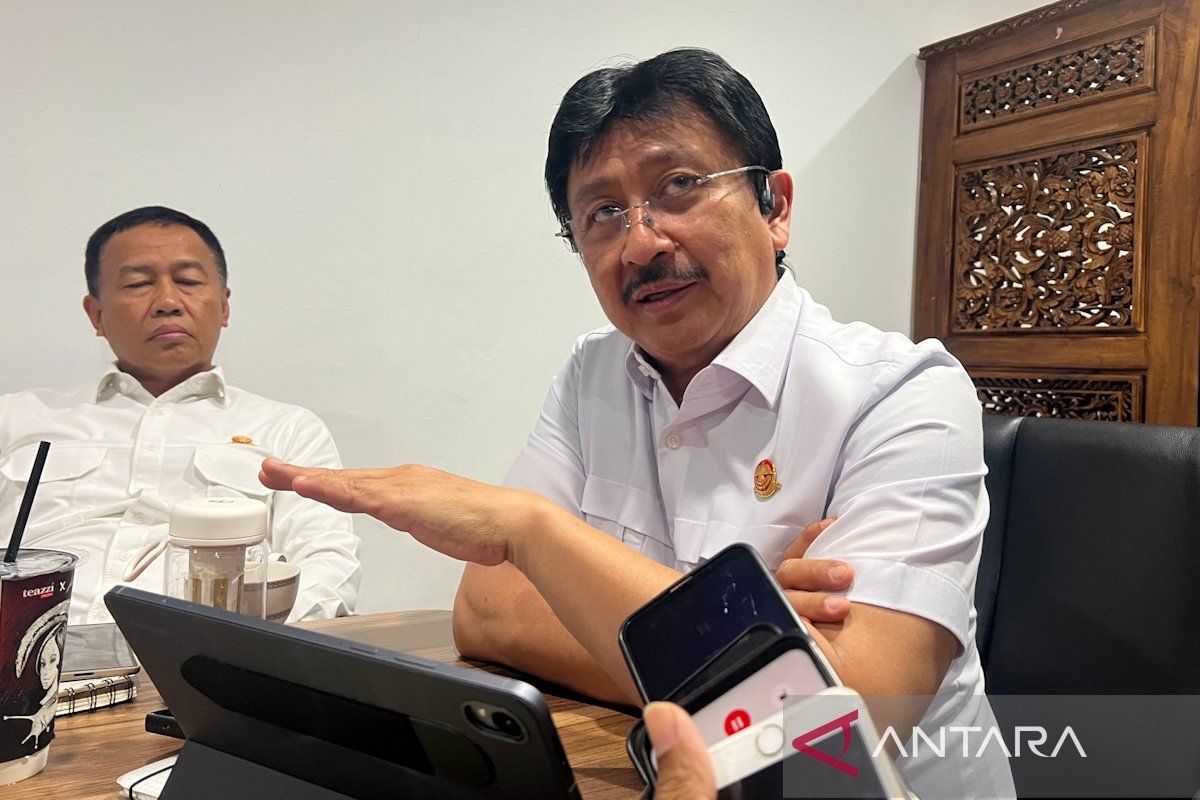 Kemenhub: Tak Ada Bandara Ditutup Imbas Karhutla, Jadwal Disesuaikan