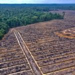 Gubernur Jabar Minta Normalisasi Kali CBL 16 Km Tuntas Tahun Ini