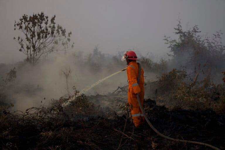 Lahan gambut di Kalimantan Barat
