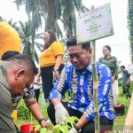 Wakil Bupati Deli Serdang Lom Lom Suwondo saat penanaman pohon bersama mahasiswa USU