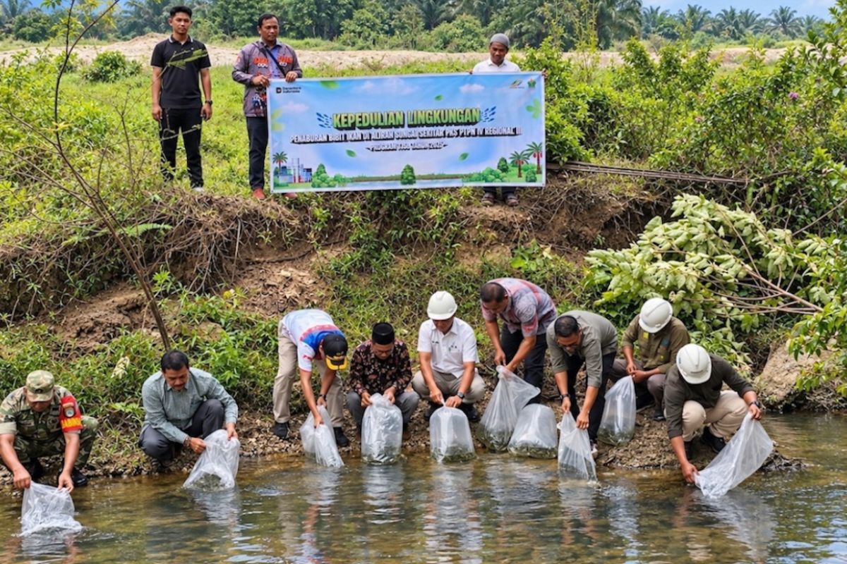 Penebaran bibit ikan di Riau
