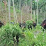 Petugas di kawasan ladang hijau di perbukitan Aceh Utara