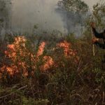 Sri Sultan: Demo 28 Oktober Boleh, Asal Tidak Merusak dan Anarkis