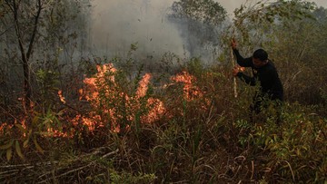 Malaysia Tawarkan Pesawat Amfibi dan Heli untuk Atasi Karhutla di Indonesia