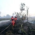 Kabut asap kebakaran hutan dan lahan menyelimuti kawasan permukiman