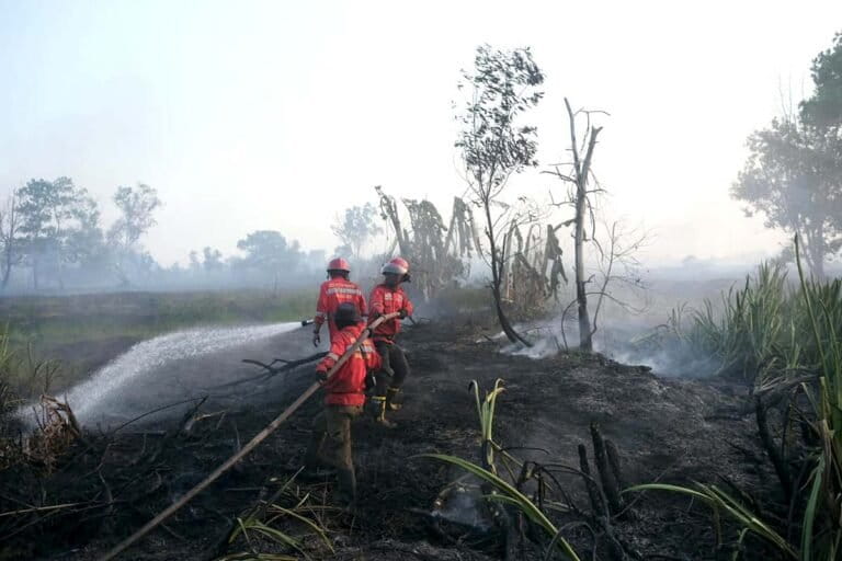 Kabut asap kebakaran hutan dan lahan menyelimuti kawasan permukiman