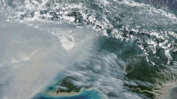 NASA Soroti Karhutla Papua, Emisi Karbon Melonjak hingga Rekor Tertinggi