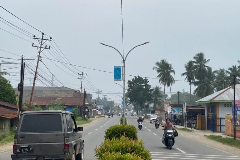 Ayat S Karokaro/Mongabay Indonesia