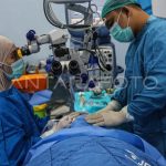 Enam Korban Karhutla Bromo, Evaluasi Prosedur dan Komando Pemadaman Mendesak