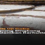 112 Ribu UMKM Terdampak Bencana Sumatera Terima Banpres Rp3 Juta