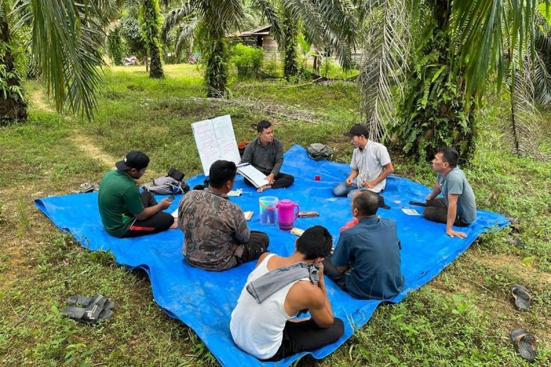 Musim Mas Rampungkan Program Lima Tahun untuk Petani Swadaya Aceh