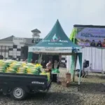 Tips Piring Seimbang: Sayur, Buah, Protein, dan Karbohidrat Secukupnya