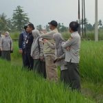 Wanita Pengedar Narkoba di Aceh Barat Ini Tertangkap