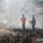 Asap kebakaran hutan dan lahan membumbung di Palangka Raya
