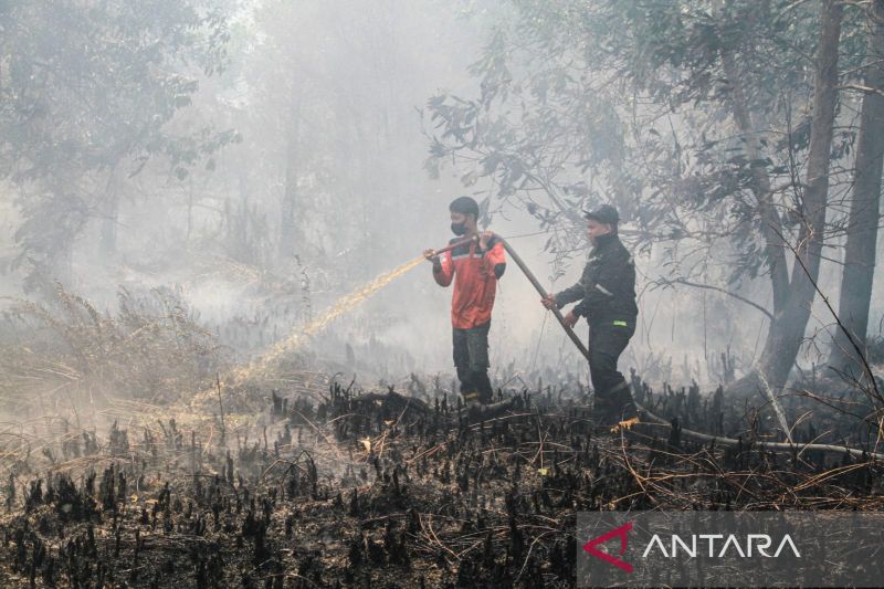 Asap kebakaran hutan dan lahan membumbung di Palangka Raya