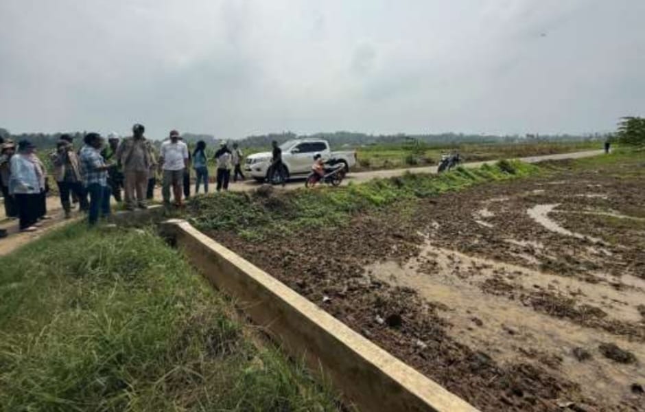 Satgas PRR Kebut Rehab Sawah Bireuen, Target Tanam Kembali Pertengahan Desember 2026