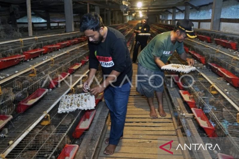 Kementerian UMKM Susun Formula agar Lebih Banyak UMKM Pasok Bahan Makanan MBG