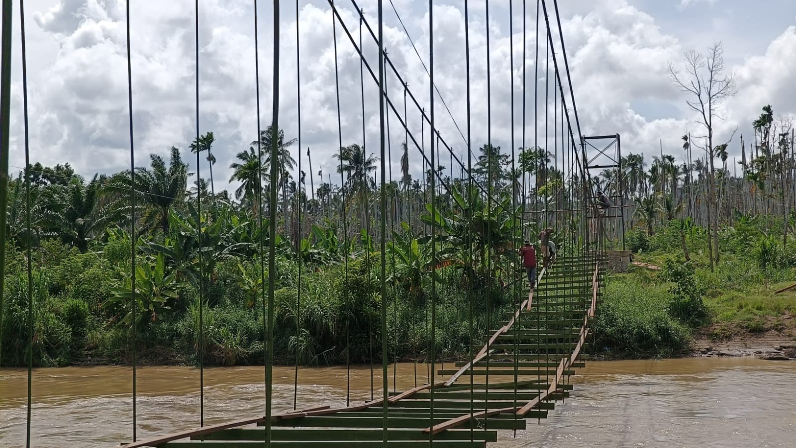 Jembatan Garuda Bangkitkan Harapan Petani di Rambong Payong