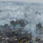 Getaran Banjir Lahar Semeru Hampir 4 Jam, BPBD Lumajang: Aktivitas Warga Tak Terganggu