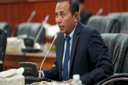 DPRA Minta Pemprov Evaluasi Tambang Emas di Samadua yang Ditolak Warga
