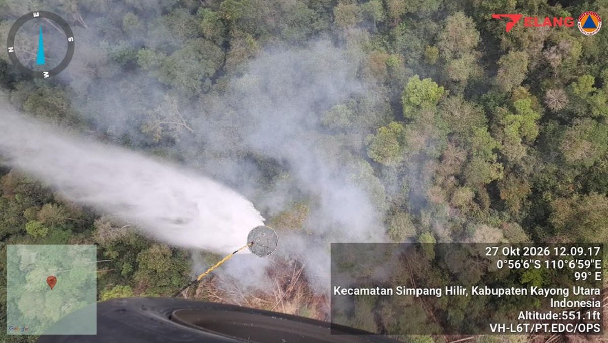 Petugas memadamkan kebakaran hutan dan lahan di area yang terbakar