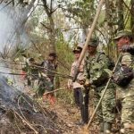 Sumsel Kerahkan 326 Brigade Pangan Kejar Target 4 Juta Ton Gabah pada 2026