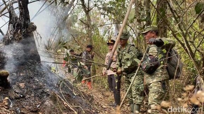 Karhutla Gunung Arjuno-Welirang Padam Total, Polisi Selidiki Penyebab Kebakaran
