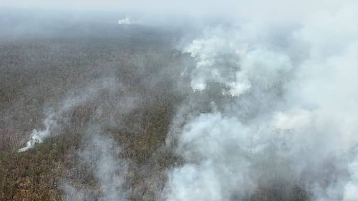 Walhi: Emisi Karhutla 2026 Bisa Capai 31-239 Juta Ton CO2 Ekuivalen