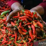 Tiga Bulan, Polri-BNN dan Bea Cukai Gagalkan 10,5 Ton Narkoba Jaringan Internasional
