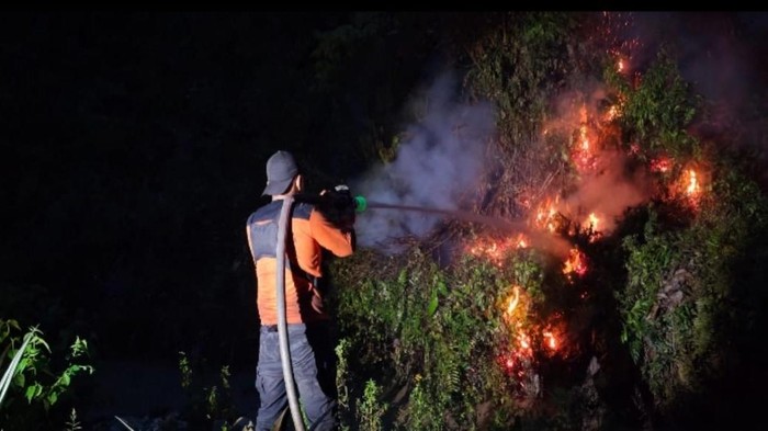 Petugas memadamkan kebakaran hutan dan lahan di Kotawaringin Barat, Kalimantan Tengah