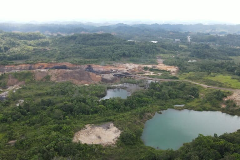 Hutan tropis Kalimantan Timur yang terancam deforestasi